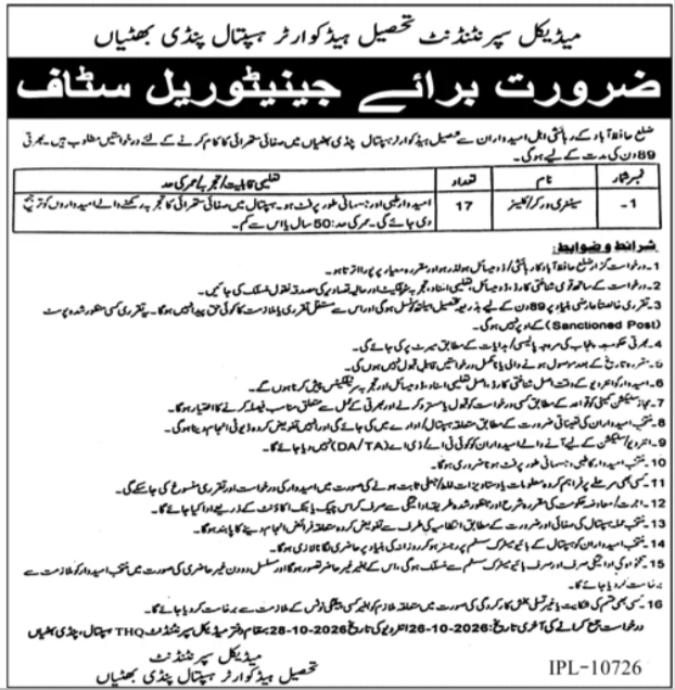 Tehsil Headquarters Hospital Pindi Bhattian Jobs 2026 Advertisement