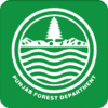 Forest Department Punjab
