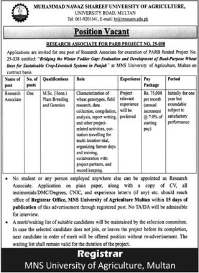 MNS University of Agriculture, Multan Jobs 2026 Advertisement