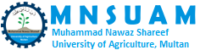 MNS University of Agriculture, Multan