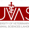 University of Veterinary and Animal Sciences (UVAS) Lahore