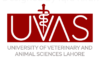 University of Veterinary and Animal Sciences (UVAS) Lahore