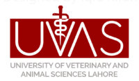 University of Veterinary and Animal Sciences (UVAS) Lahore
